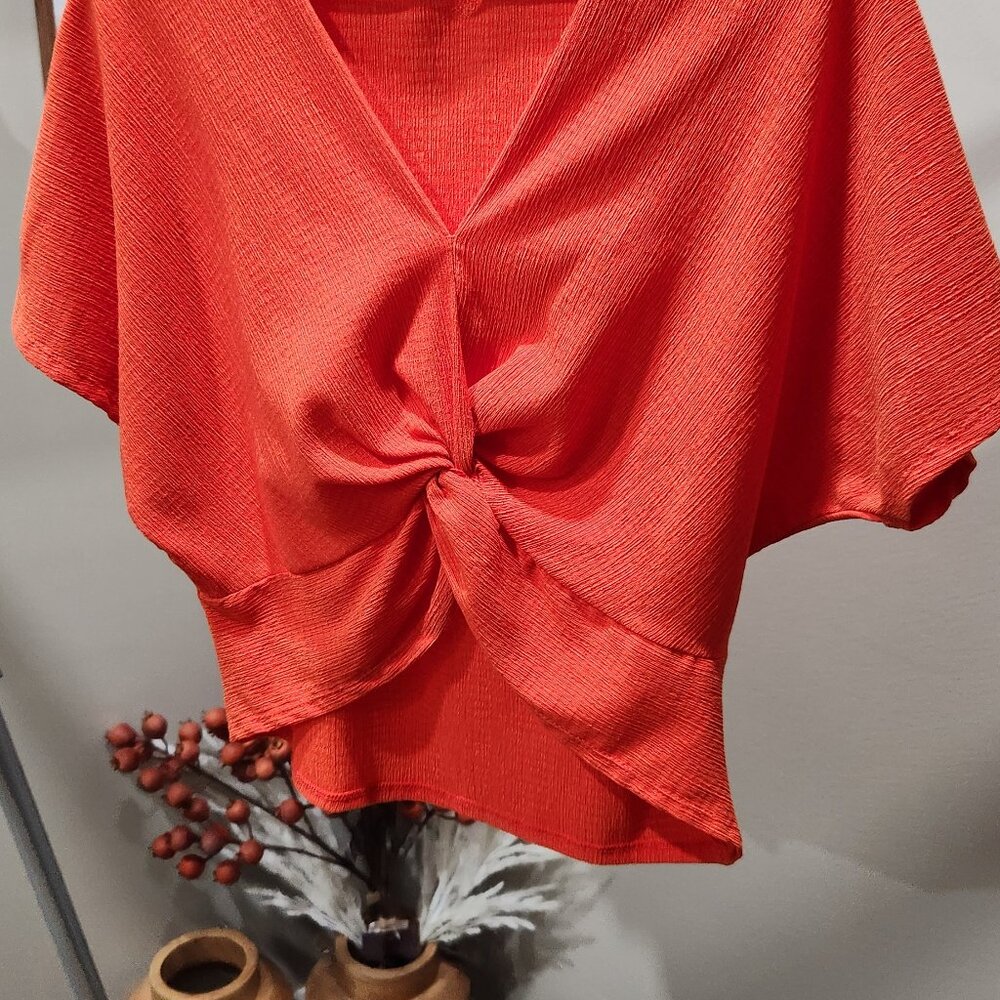 Zara crop top